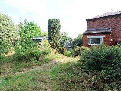 Picture 20